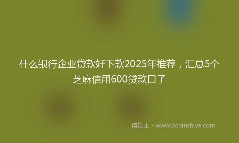 什么银行企业贷款好下款2025年推荐，汇总5个芝麻信用600贷款口子
