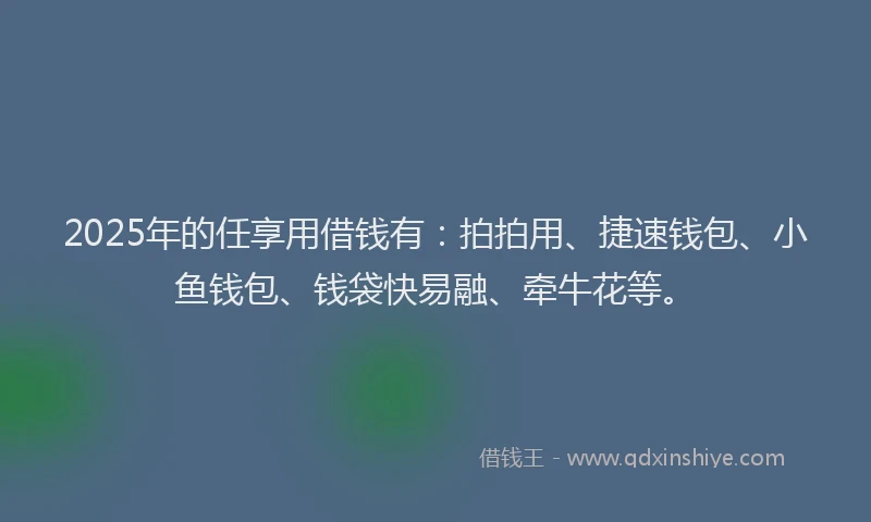 2025年的任享用借钱有：拍拍用、捷速钱包、小鱼钱包、钱袋快易融、牵牛花等。