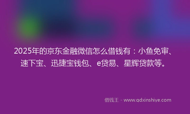 2025年的京东金融微信怎么借钱有：小鱼免审、速下宝、迅捷宝钱包、e贷易、星辉贷款等。