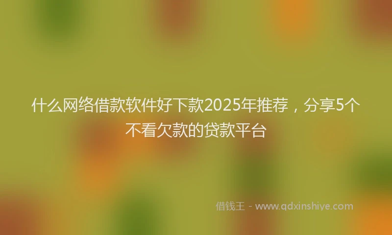 什么网络借款软件好下款2025年推荐，分享5个不看欠款的贷款平台
