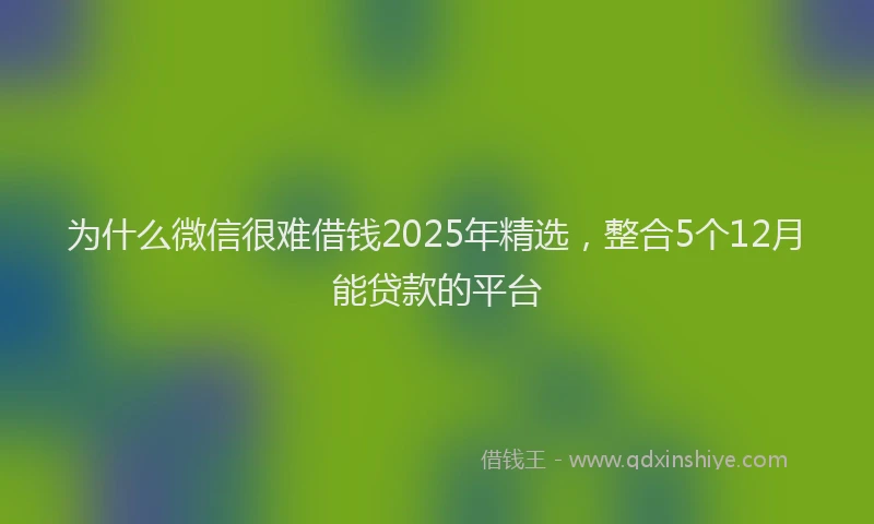 为什么微信很难借钱2025年精选，整合5个12月能贷款的平台