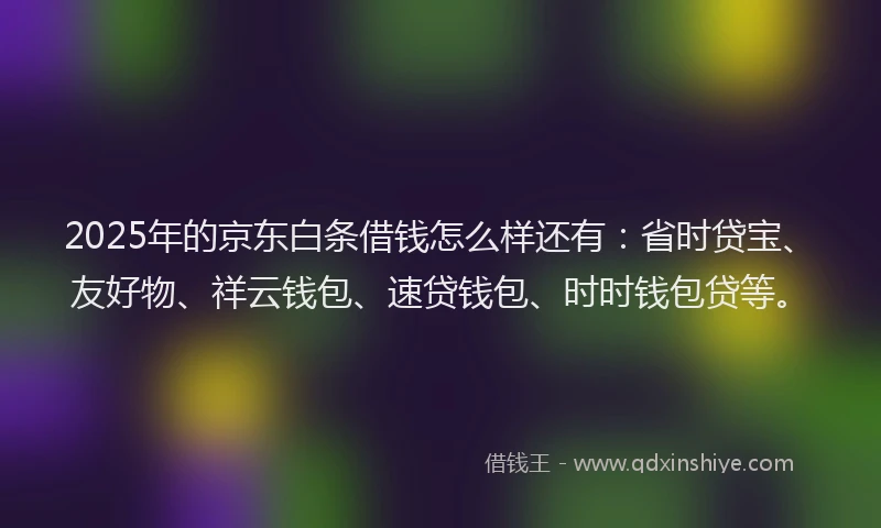 2025年的京东白条借钱怎么样还有：省时贷宝、友好物、祥云钱包、速贷钱包、时时钱包贷等。