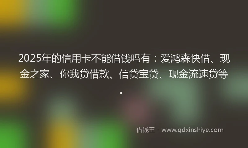 2025年的信用卡不能借钱吗有：爱鸿森快借、现金之家、你我贷借款、信贷宝贷、现金流速贷等。