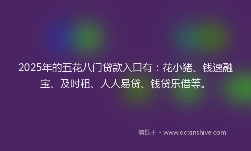 2025年的五花八门贷款入口有：花小猪、钱速融宝、及时租、人人易贷、钱贷乐借等。