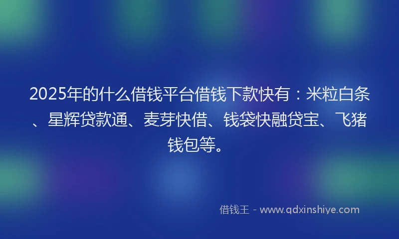 2025年的什么借钱平台借钱下款快有：米粒白条、星辉贷款通、麦芽快借、钱袋快融贷宝、飞猪钱包等。