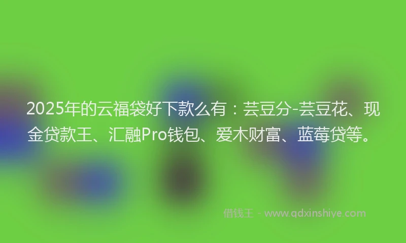 2025年的云福袋好下款么有：芸豆分-芸豆花、现金贷款王、汇融Pro钱包、爱木财富、蓝莓贷等。