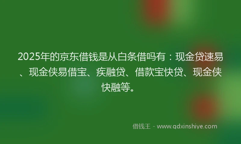 2025年的京东借钱是从白条借吗有:现金贷速易、现金侠易借宝、疾融贷、借款宝快贷、现金侠快融等。