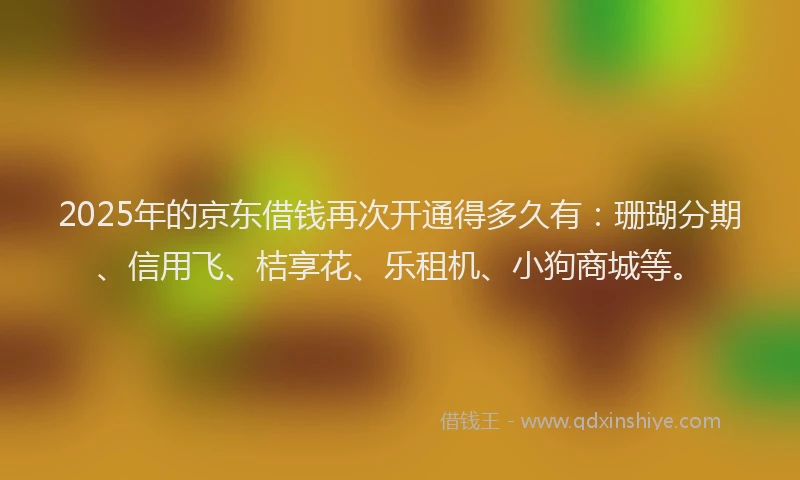 2025年的京东借钱再次开通得多久有：珊瑚分期、信用飞、桔享花、乐租机、小狗商城等。