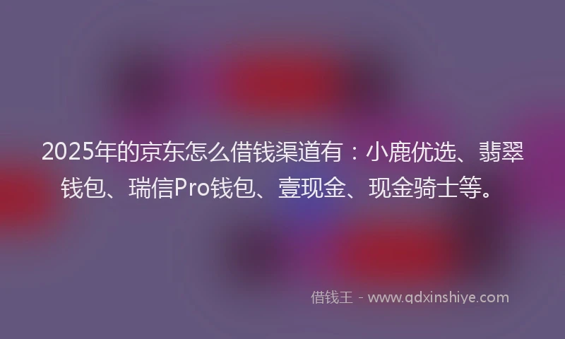 2025年的京东怎么借钱渠道有：小鹿优选、翡翠钱包、瑞信Pro钱包、壹现金、现金骑士等。
