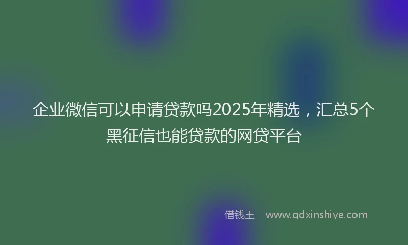 企业微信可以申请贷款吗2025年精选，汇总5个黑征信也能贷款的网贷平台