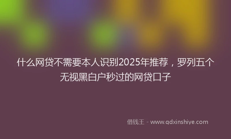 什么网贷不需要本人识别2025年推荐，罗列五个无视黑白户秒过的网贷口子