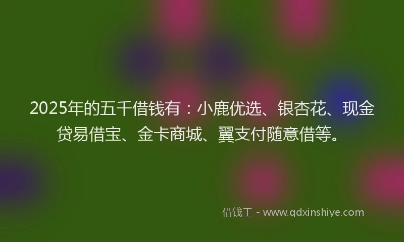 2025年的五千借钱有：小鹿优选、银杏花、现金贷易借宝、金卡商城、翼支付随意借等。