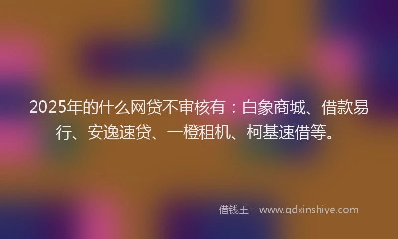 2025年的什么网贷不审核有：白象商城、借款易行、安逸速贷、一橙租机、柯基速借等。