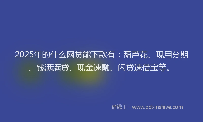 2025年的什么网贷能下款有：葫芦花、现用分期、钱满满贷、现金速融、闪贷速借宝等。