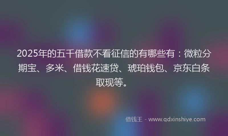 2025年的五千借款不看征信的有哪些有：微粒分期宝、多米、借钱花速贷、琥珀钱包、京东白条取现等。