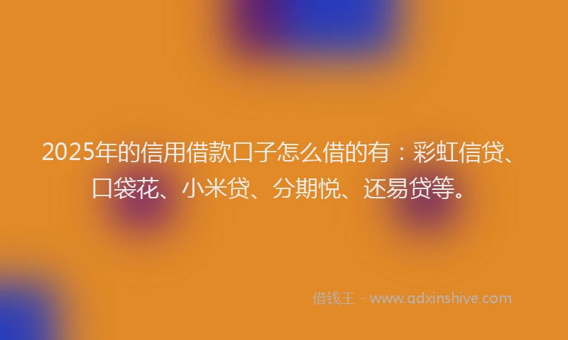 2025年的信用借款口子怎么借的有：彩虹信贷、口袋花、小米贷、分期悦、还易贷等。