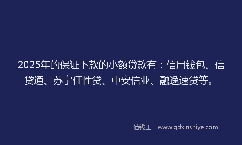 2025年的保证下款的小额贷款有：信用钱包、信贷通、苏宁任性贷、中安信业、融逸速贷等。