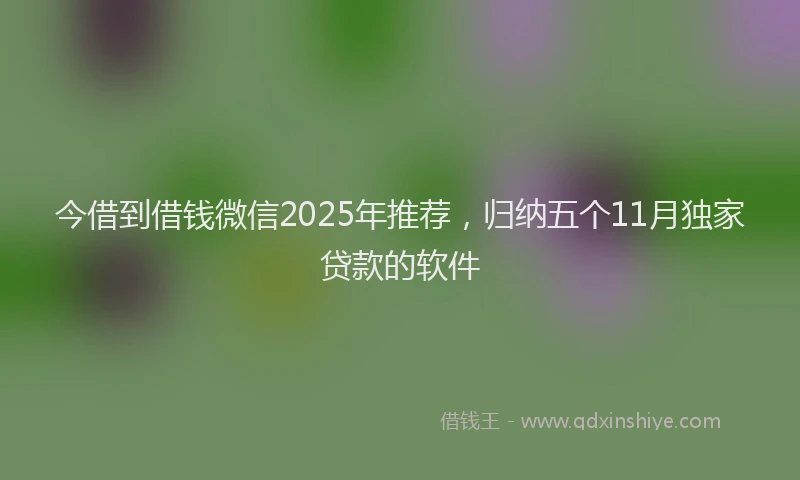 今借到借钱微信2025年推荐，归纳五个11月独家贷款的软件