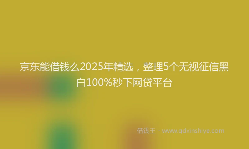 京东能借钱么2025年精选，整理5个无视征信黑白100%秒下网贷平台