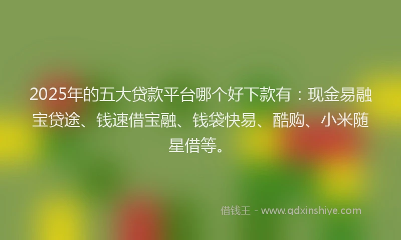 2025年的五大贷款平台哪个好下款有：现金易融宝贷途、钱速借宝融、钱袋快易、酷购、小米随星借等。