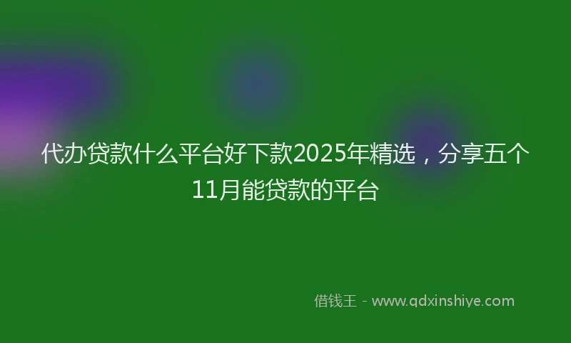 代办贷款什么平台好下款2025年精选，分享五个11月能贷款的平台