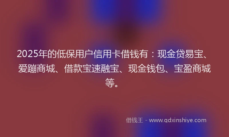 2025年的低保用户信用卡借钱有：现金贷易宝、爱蹦商城、借款宝速融宝、现金钱包、宝盈商城等。