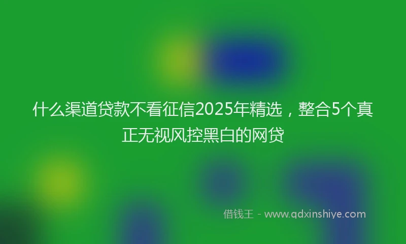 什么渠道贷款不看征信2025年精选,整合5个真正无视风控黑白的网贷