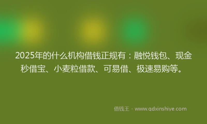 2025年的什么机构借钱正规有：融悦钱包、现金秒借宝、小麦粒借款、可易借、极速易购等。