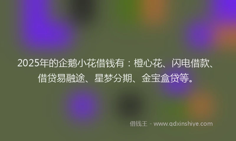 2025年的企鹅小花借钱有：橙心花、闪电借款、借贷易融途、星梦分期、金宝盒贷等。