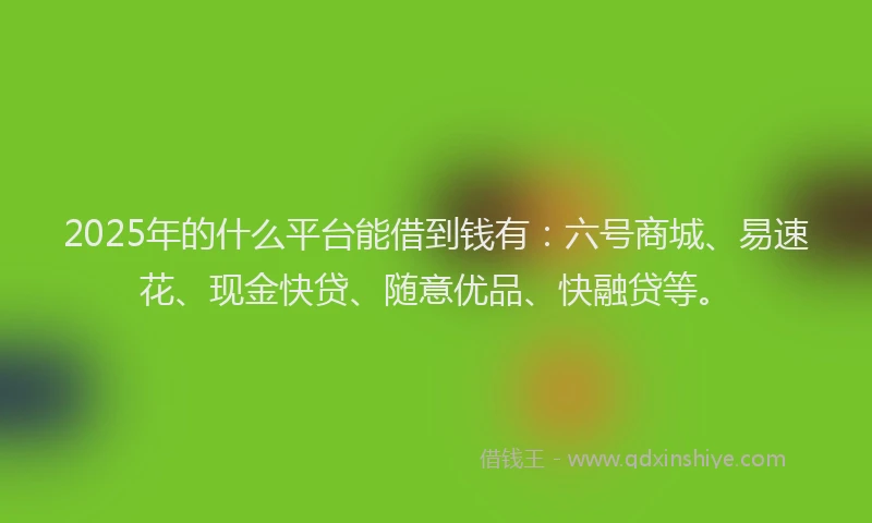 2025年的什么平台能借到钱有:六号商城、易速花、现金快贷、随意优品、快融贷等。