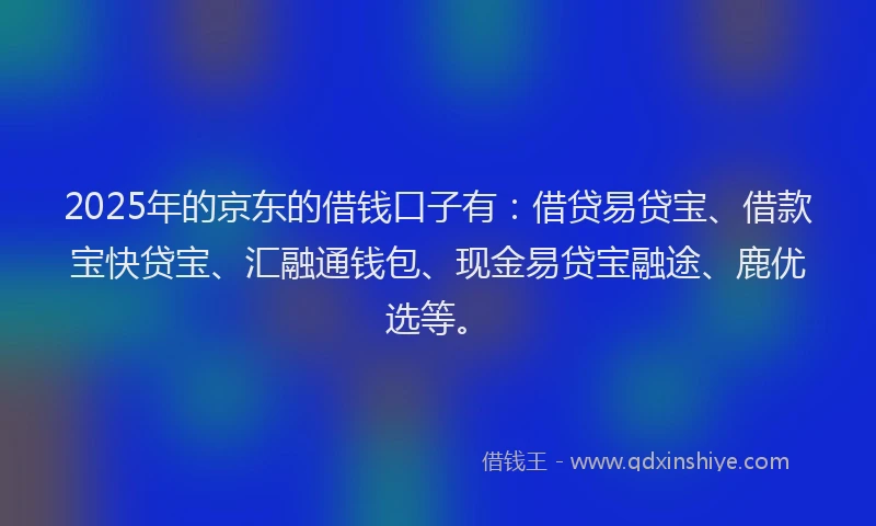 2025年的京东的借钱口子有：借贷易贷宝、借款宝快贷宝、汇融通钱包、现金易贷宝融途、鹿优选等。