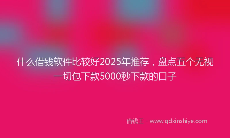 什么借钱软件比较好2025年推荐,盘点五个无视一切包下款5000秒下款的口子