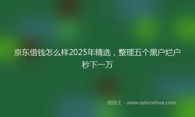 京东借钱怎么样2025年精选，整理五个黑户烂户秒下一万