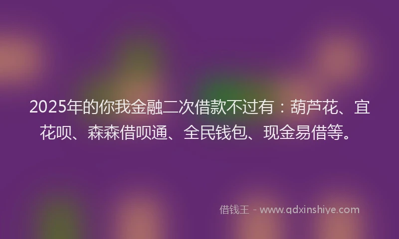 2025年的你我金融二次借款不过有:葫芦花、宜花呗、森森借呗通、全民钱包、现金易借等。