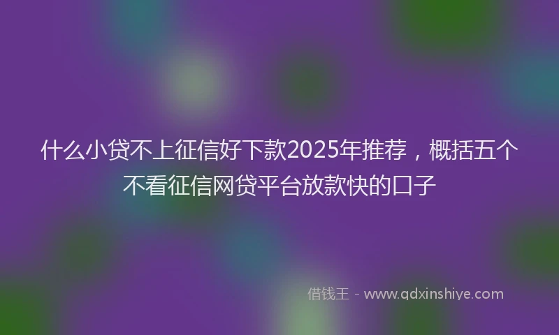 什么小贷不上征信好下款2025年推荐,概括五个不看征信网贷平台放款快的口子