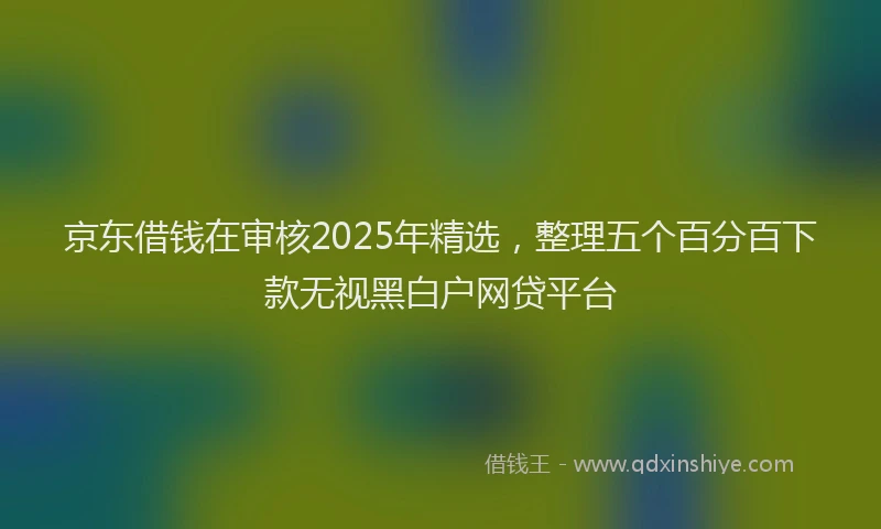 京东借钱在审核2025年精选，整理五个百分百下款无视黑白户网贷平台