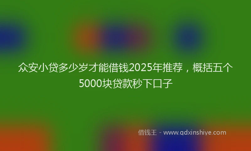 众安小贷多少岁才能借钱2025年推荐，概括五个5000块贷款秒下口子