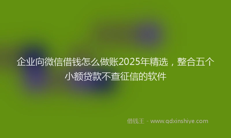 企业向微信借钱怎么做账2025年精选，整合五个小额贷款不查征信的软件