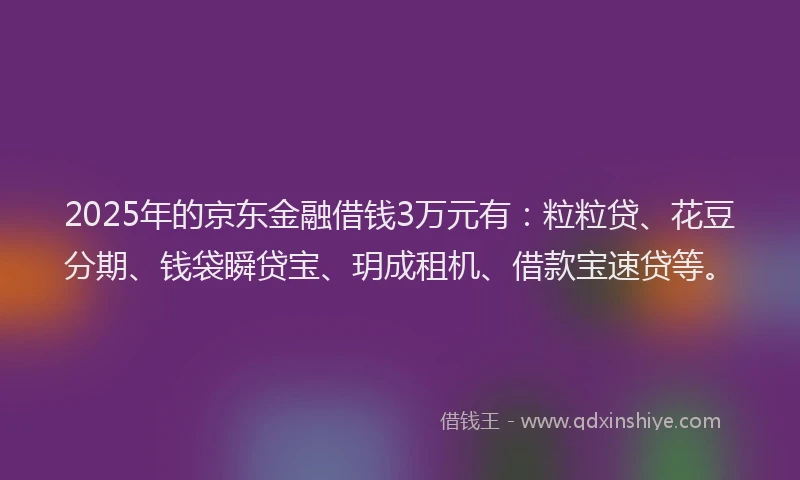 2025年的京东金融借钱3万元有：粒粒贷、花豆分期、钱袋瞬贷宝、玥成租机、借款宝速贷等。