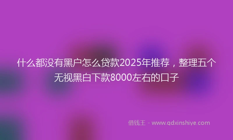 什么都没有黑户怎么贷款2025年推荐，整理五个无视黑白下款8000左右的口子
