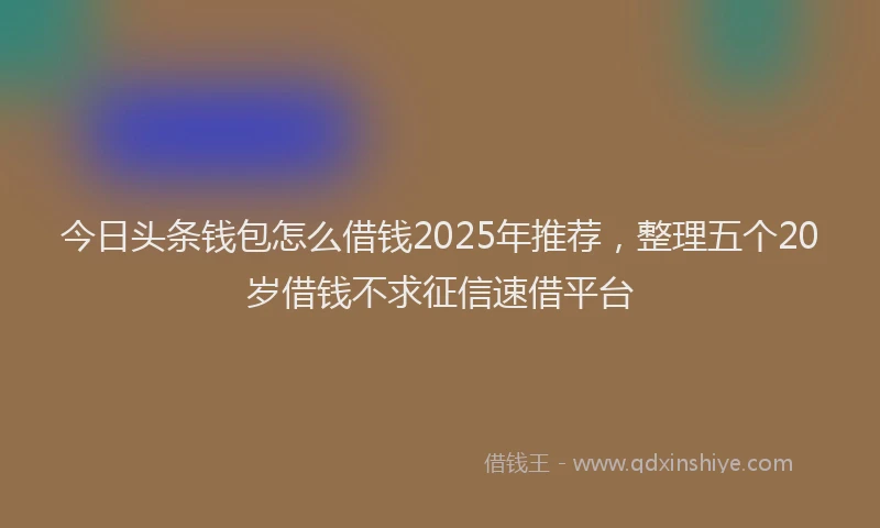 今日头条钱包怎么借钱2025年推荐，整理五个20岁借钱不求征信速借平台