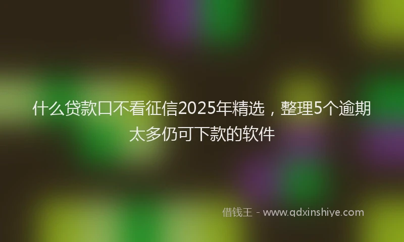 什么贷款口不看征信2025年精选，整理5个逾期太多仍可下款的软件