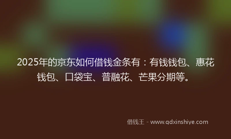 2025年的京东如何借钱金条有：有钱钱包、惠花钱包、口袋宝、普融花、芒果分期等。