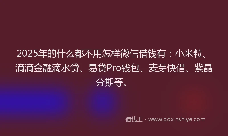 2025年的什么都不用怎样微信借钱有：小米粒、滴滴金融滴水贷、易贷Pro钱包、麦芽快借、紫晶分期等。