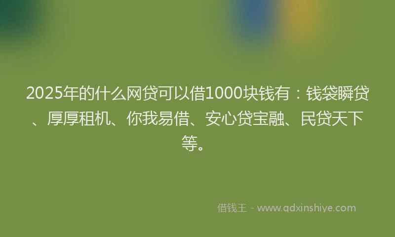 2025年的什么网贷可以借1000块钱有：钱袋瞬贷、厚厚租机、你我易借、安心贷宝融、民贷天下等。