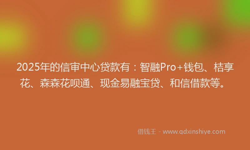 2025年的信审中心贷款有：智融Pro+钱包、桔享花、森森花呗通、现金易融宝贷、和信借款等。