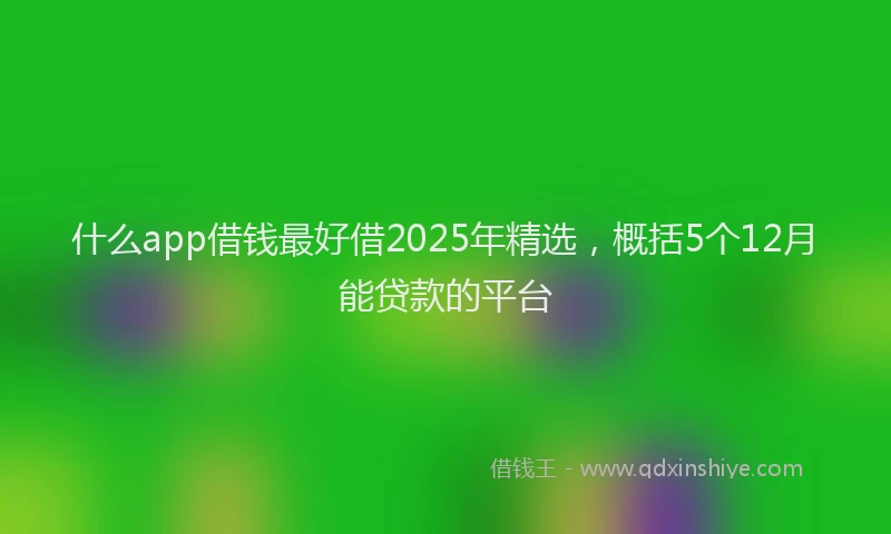 什么app借钱最好借2025年精选，概括5个12月能贷款的平台