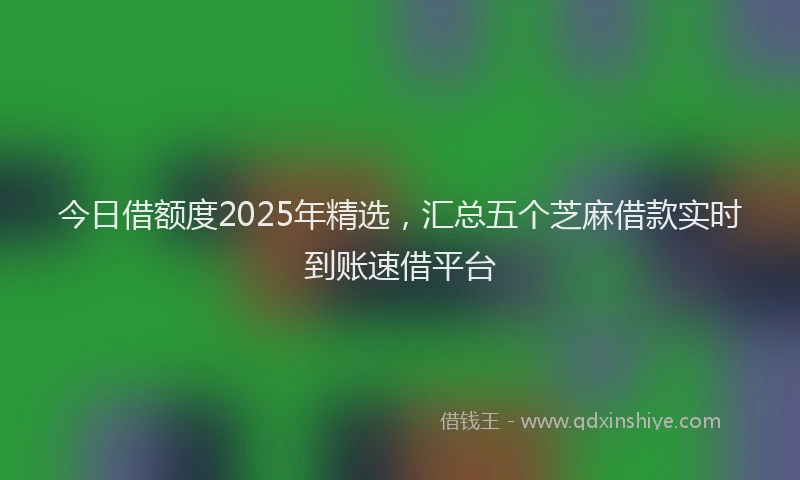 今日借额度2025年精选,汇总五个芝麻借款实时到账速借平台