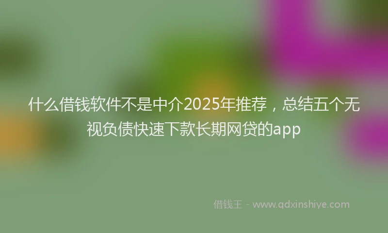 什么借钱软件不是中介2025年推荐,总结五个无视负债快速下款长期网贷的app