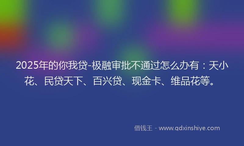 2025年的你我贷-极融审批不通过怎么办有：天小花、民贷天下、百兴贷、现金卡、维品花等。